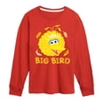 thumbnail image 1 of Sesame Street - Big Bird Face - Toddler and Youth Long Sleeve T-Shirt, 1 of 4