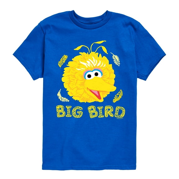 Sesame Street - Big Bird Face - Toddler and Youth Short Sleeve Graphic T-Shirt