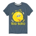 thumbnail image 1 of Sesame Street - Big Bird Face - Toddler and Youth Short Sleeve Graphic T-Shirt, 1 of 5