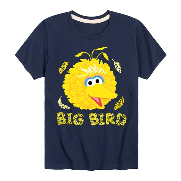 Sesame Street - Big Bird Face - Toddler and Youth Short Sleeve Graphic T-Shirt