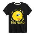 thumbnail image 1 of Sesame Street - Big Bird Face - Toddler and Youth Short Sleeve Graphic T-Shirt, 1 of 5