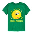 thumbnail image 1 of Sesame Street - Big Bird Face - Toddler and Youth Short Sleeve Graphic T-Shirt, 1 of 5