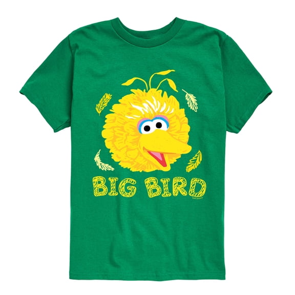 Sesame Street - Big Bird Face - Toddler and Youth Short Sleeve Graphic T-Shirt