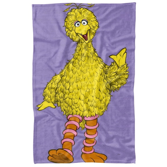 Sesame Street Big Bird Painted Officially Licensed Fleece Blanket 36' x 58'