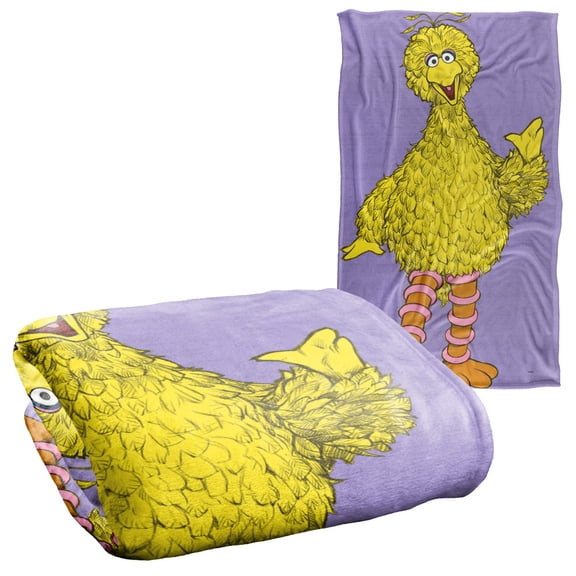 Sesame Street Big Bird Painted Officially Licensed Silky Touch Super Soft Throw Blanket 36" x 58"