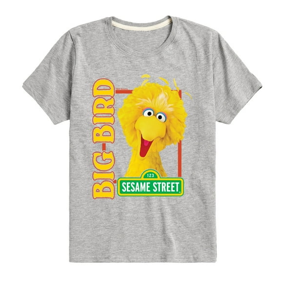 Sesame Street - Big Bird Photo - Toddler and Youth Short Sleeve Graphic T-Shirt