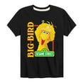 thumbnail image 1 of Sesame Street - Big Bird Photo - Toddler and Youth Short Sleeve Graphic T-Shirt, 1 of 5