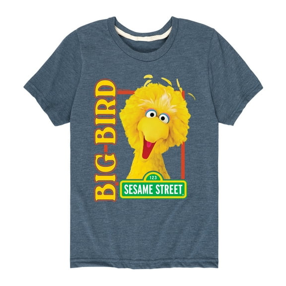 Sesame Street - Big Bird Photo - Toddler and Youth Short Sleeve Graphic T-Shirt