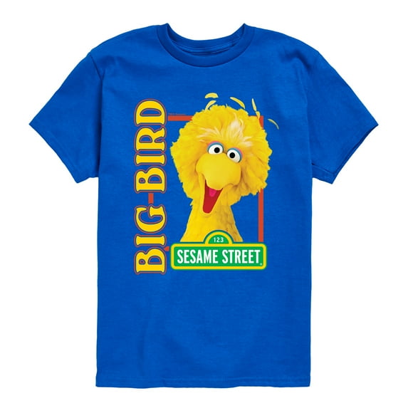 Sesame Street - Big Bird Photo - Toddler and Youth Short Sleeve Graphic T-Shirt