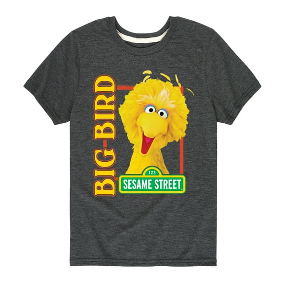 Sesame Street - Big Bird Photo - Toddler and Youth Short Sleeve Graphic T-Shirt