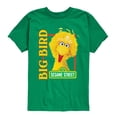thumbnail image 1 of Sesame Street - Big Bird Photo - Toddler and Youth Short Sleeve Graphic T-Shirt, 1 of 5