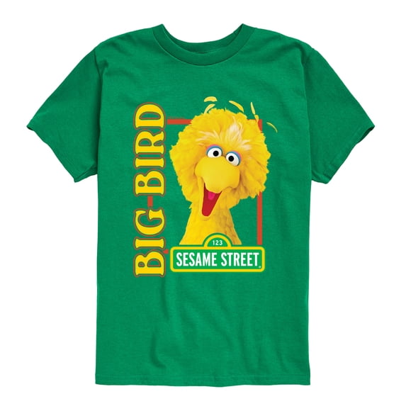 Sesame Street - Big Bird Photo - Toddler and Youth Short Sleeve Graphic T-Shirt