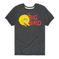 thumbnail image 1 of Sesame Street - Big Bird - Toddler and Youth Short Sleeve Graphic T-Shirt, 1 of 5