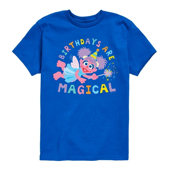 Sesame Street - Birthdays Are Magical - Toddler and Youth Short Sleeve Graphic T-Shirt