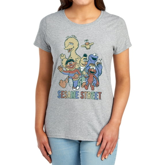 Sesame Street Colorful Group Women's T Shirt (X-Large) Athletic Heather