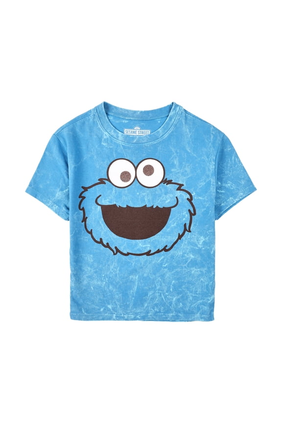 Sesame Street Cookie Monster Face Women's Blue Mineral Wash Crew Neck Short Sleeve Cropped Baby Tee -XL