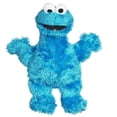 thumbnail image 1 of Sesame Street Cookie Monster Plush Doll with Plastic Eyes 12", 1 of 3