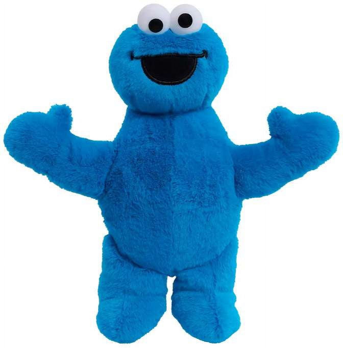 Sesame Street Cookie Monster Plush - Walmart.com