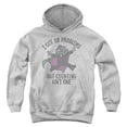 thumbnail image 1 of Sesame Street Count 99 Problems Youth Kids Boy/Girls Pull-Over Hoodie, Athletic Heather, Small, 1 of 4