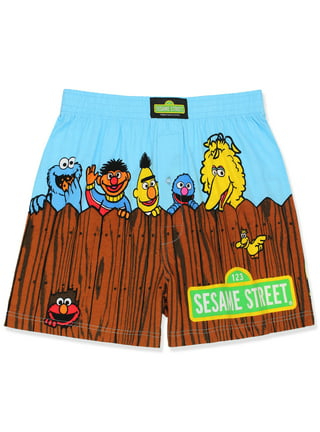 Sesame Street Underwear, Womens Cookie Monster Seamless Hot Shorts Blue