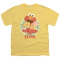 thumbnail image 1 of Sesame Street Flowers For You S/S Youth 18/1 T-Shirt Banana, 1 of 2