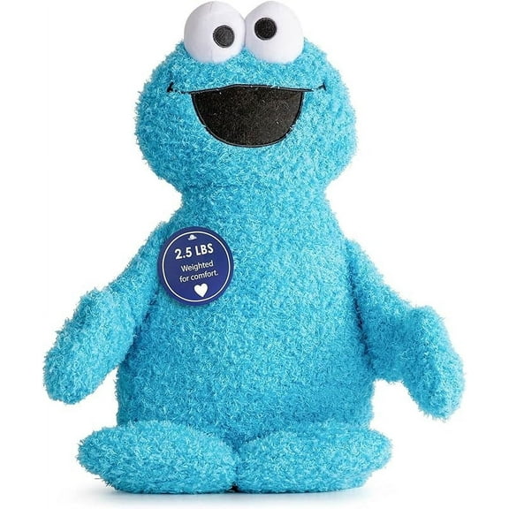 Sesame Street Fuzzy Cookie Monster 2.5 lbs Weighted Plush Pillow Buddy - Kids Super Soft Stuffed Pillow