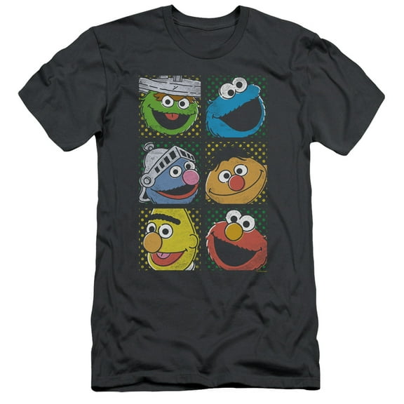 Sesame Street Group Squares S/S Adult 30/1 T-Shirt Charcoal