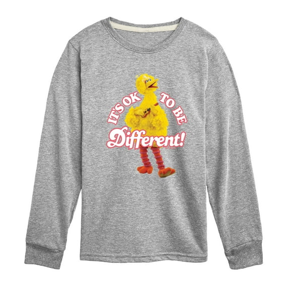 Sesame Street - Its Ok To Be Different - Toddler and Youth Long Sleeve T-Shirt