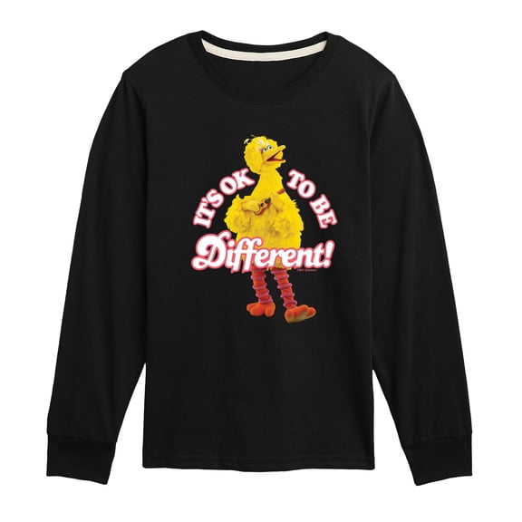 Sesame Street - Its Ok To Be Different - Toddler and Youth Long Sleeve T-Shirt