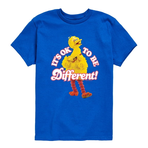 Sesame Street - Its Ok To Be Different - Toddler and Youth Short Sleeve Graphic T-Shirt
