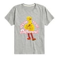 thumbnail image 1 of Sesame Street - Its Ok To Be Different - Toddler and Youth Short Sleeve Graphic T-Shirt, 1 of 5