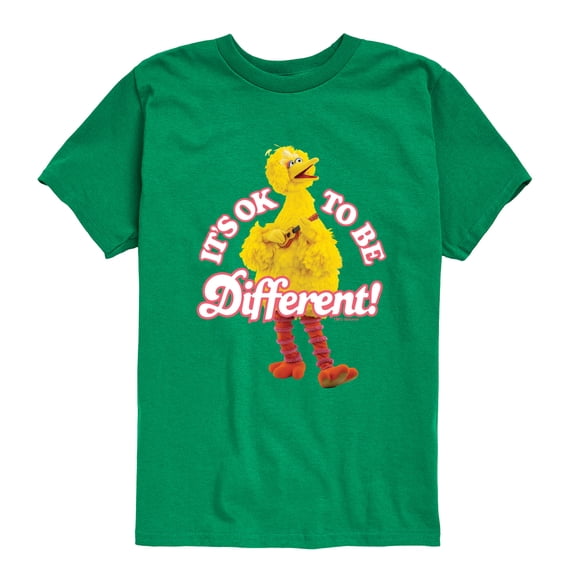 Sesame Street - Its Ok To Be Different - Toddler and Youth Short Sleeve Graphic T-Shirt