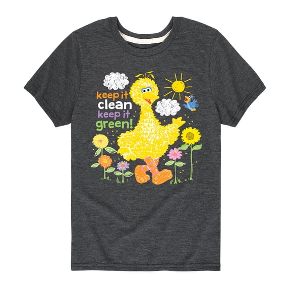 Sesame Street - Keep It Clean Keep It Green - Toddler and Youth Short Sleeve Graphic T-Shirt