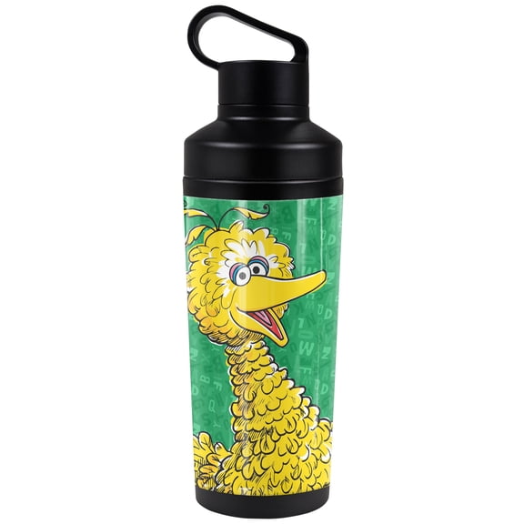 Sesame Street Official Big Bird Character 18 oz Insulated Water Bottle, Leak Resistant, Vacuum Insulated Stainless Steel with 2-in-1 Loop Cap