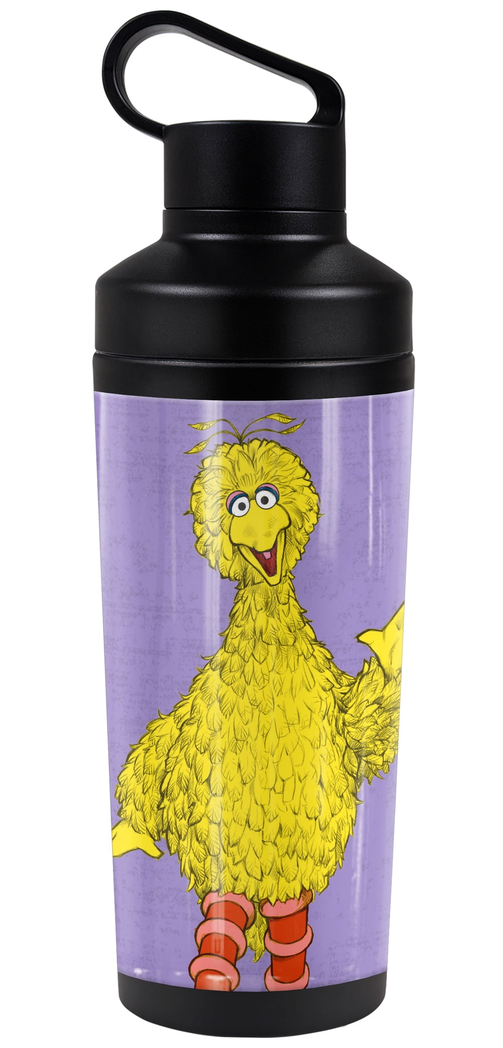 Sesame Street Official Big Bird Painting 18 oz Insulated Water Bottle