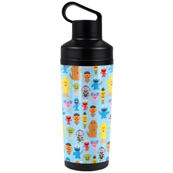 Sesame Street Official Cute Character Pattern 18 oz Insulated Water Bottle, Leak Resistant, Vacuum Insulated Stainless Steel with 2-in-1 Loop Cap