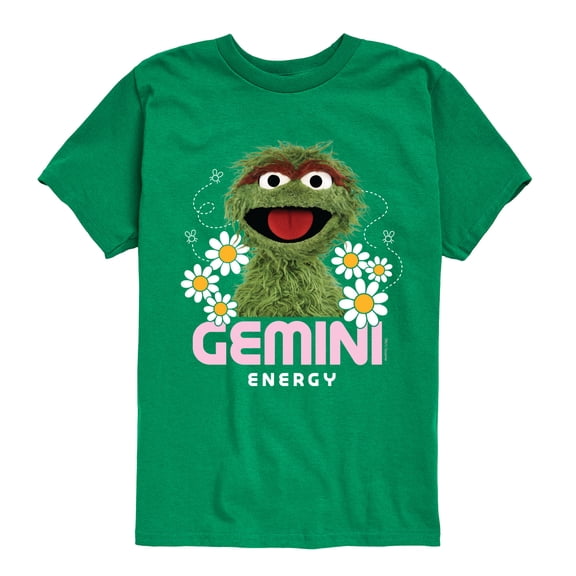 Sesame Street - Oscar Gemini Energy - Toddler and Youth Short Sleeve Graphic T-Shirt