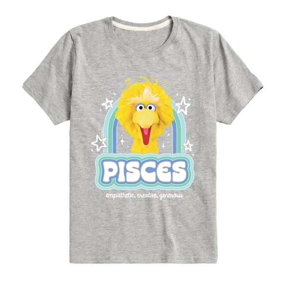 Sesame Street - Pisces Big Bird - Toddler and Youth Short Sleeve Graphic T-Shirt