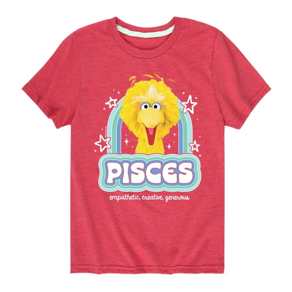 Sesame Street - Pisces Big Bird - Toddler and Youth Short Sleeve Graphic T-Shirt