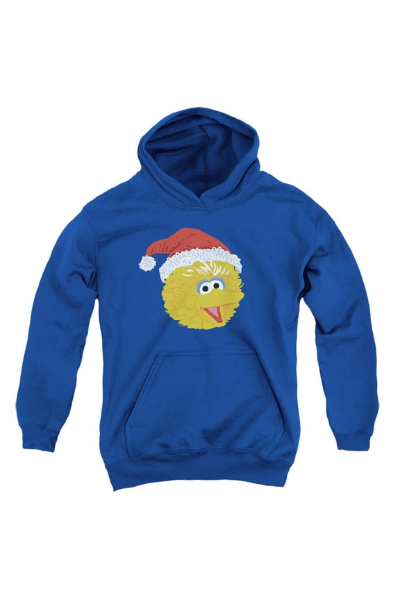 Scribble Christmas Big Bird Youth Kids Boy/Girls Pull-Over Hoodie, Royal, X-Large