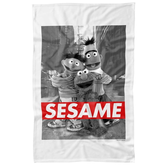 Sesame Street Sesame Officially Licensed Fleece Blanket 36' x 58'