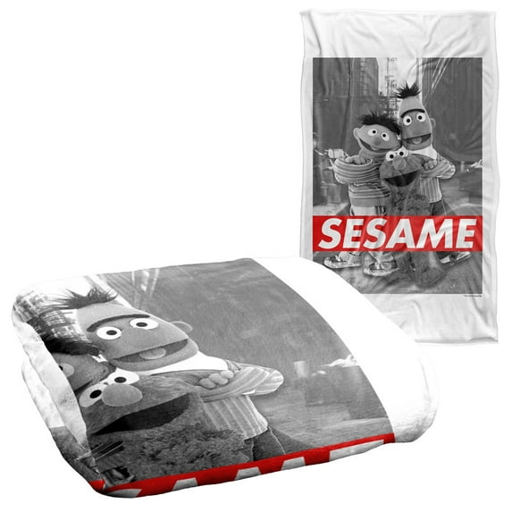 Sesame Street Sesame Officially Licensed Silky Touch Super Soft Throw Blanket 36" x 58"