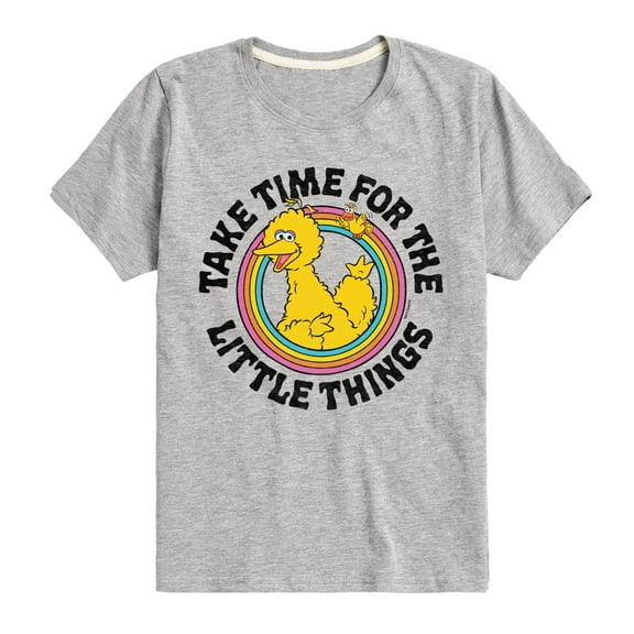 Sesame Street - Take Time For The Little Things - Toddler and Youth Short Sleeve Graphic T-Shirt