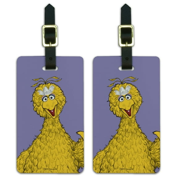 Sesame Street Vintage Big Bird Luggage ID Tags Suitcase Carry-On Cards - Set of 2