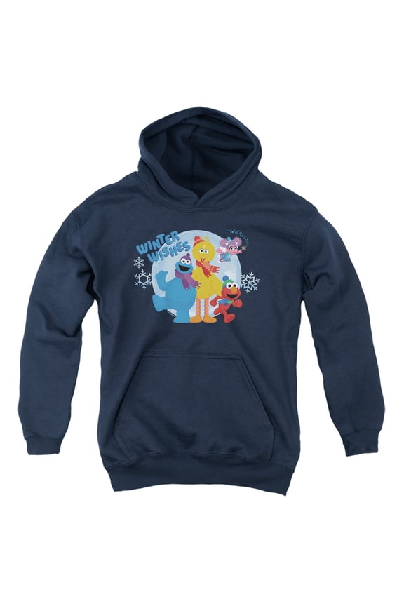 Winter Wishes Elmo, Cookie Monster, Big Bird Youth Kids Boy/Girls Pull-Over Hoodie, Navy, Small