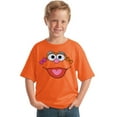 thumbnail image 1 of Sesame Street Zoe Face Youth Kids T-Shirt, 1 of 1