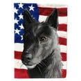 thumbnail image 1 of Carolines Treasures CK6701CHF Seskar Seal Dog American Canvas House Size outdoor-flags, Multicolor, 1 of 4