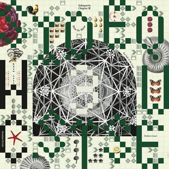 Session Victim - Sidequests: Chapter 3 - Music & Performance - Vinyl