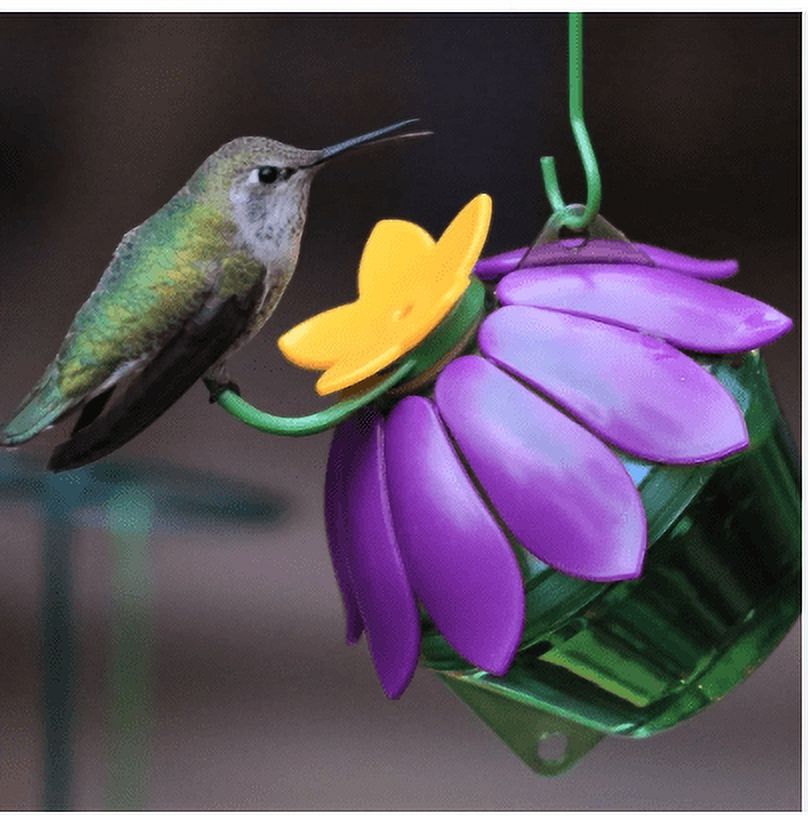 Set of 1 Hummingbird Nectar (4 count, 4 oz. Bags) Hummingbird Nectar