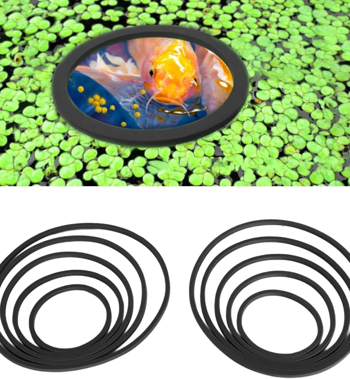 Floating Aquarium Plants 10 Pcs Aquarium Floating Plant Rings, Fish ...